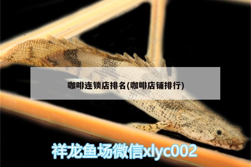咖啡連鎖店排名(咖啡店鋪排行)