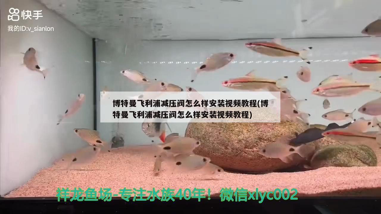 博特曼飛利浦減壓閥怎么樣安裝視頻教程(博特曼飛利浦減壓閥怎么樣安裝視頻教程)