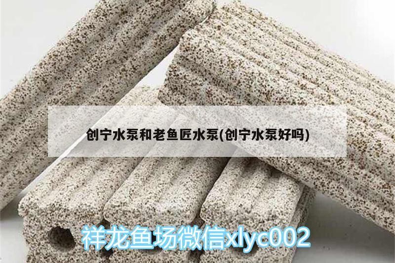 創(chuàng)寧水泵和老魚匠水泵(創(chuàng)寧水泵好嗎)