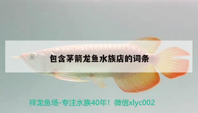 包含茅箭龍魚(yú)水族店的詞條