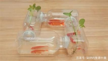 成品魚缸改造怎么切割上面塑料條：成品魚缸改造中如何切割上面的塑料條根據搜索結果