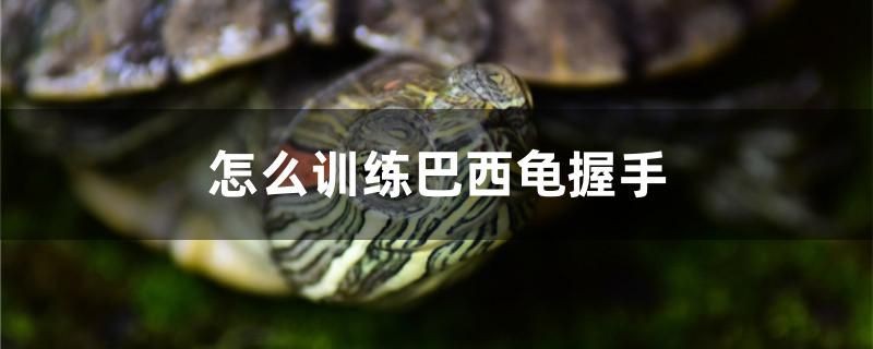臨夏賣魚缸的地方有哪些電話號(hào)碼呢（我朋友的孩子掉在人家水塘里，溺水生亡，水）