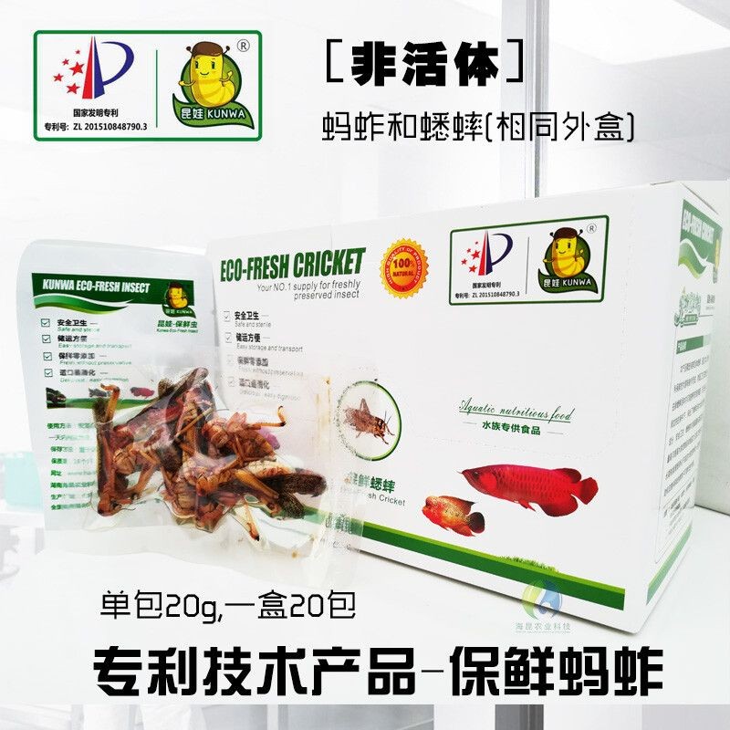 魟魚飼料蛋白質質量評價：如何評估魟魚飼料蛋白質質量？