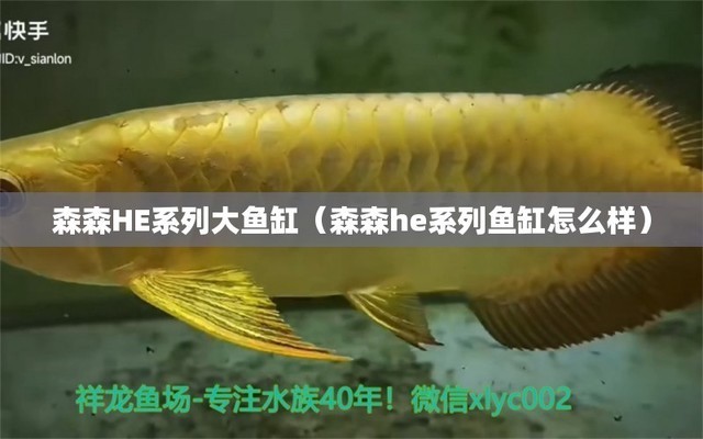 博特魚缸水泵官網(wǎng)售后服務(wù)電話（博特魚缸水泵官網(wǎng)售后服務(wù)電話號(hào)碼）