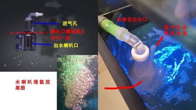 英皇魚缸1.2米,的多少錢（英皇魚缸價(jià)格圖）