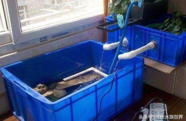 搬家搬魚缸有什么講究嘛：搬家搬運魚缸搬運前需要注意多個方面的講究和細節和細節