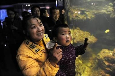 巴中水族館vs祥龍魚場（巴中水族館與祥龍魚場的具體差異）