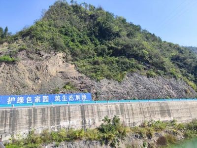 銅仁龍魚vs祥龍魚場（“銅仁龍魚”與“祥龍魚場”）