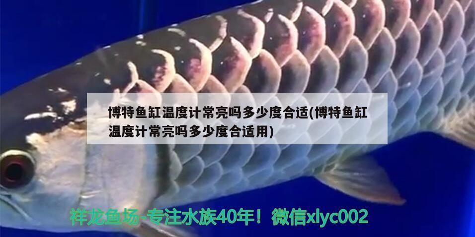 博特魚缸溫度計常亮嗎多少度合適(博特魚缸溫度計常亮嗎多少度合適用)