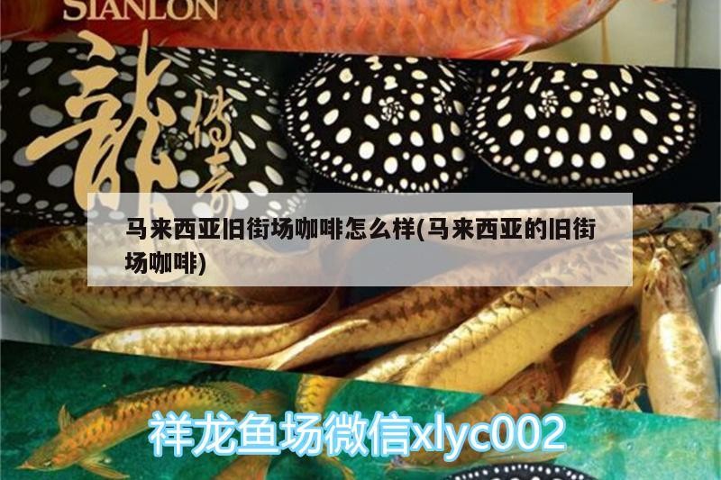 馬來西亞舊街場咖啡怎么樣(馬來西亞的舊街場咖啡)