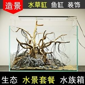 大魚缸造景視頻全過程：關于大魚缸造景視頻全過程的信息