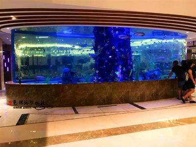 多大的魚缸算大缸