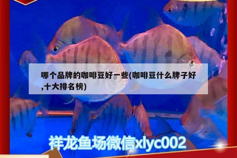 哪個品牌的咖啡豆好一些(咖啡豆什么牌子好,十大排名榜)