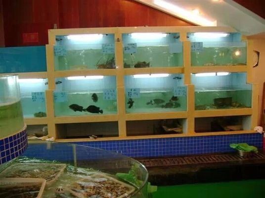 新手選龍魚尺寸vs祥龍魚場：新手養龍魚尺寸選擇祥龍魚尺寸的選擇技巧龍魚尺寸選擇