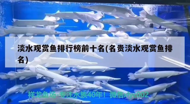 紅橋龍魚的價格范圍是多少？，紅橋龍魚價格因品種、大小和健康狀況而異，紅橋龍魚價格波動