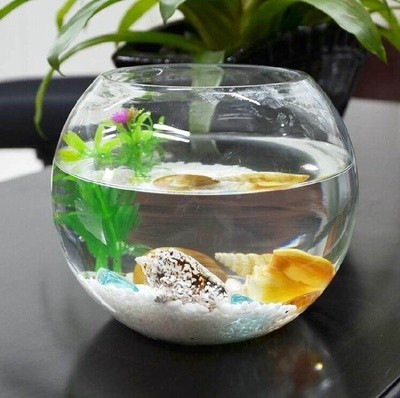 創寧變頻水泵拆卸視頻教學全集（創寧變頻水泵拆卸視頻教學全集）