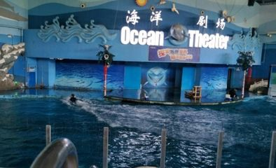 祥龍魚場(chǎng)的龍魚缸定制價(jià)格是多少？，祥龍魚場(chǎng)的龍魚缸定制價(jià)格 祥龍魚場(chǎng)的龍魚缸定制價(jià)格是多少？，祥龍魚場(chǎng)的龍魚缸定制價(jià)格 龍魚百科 第2張