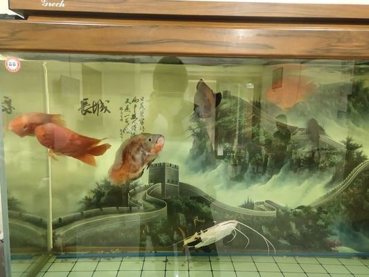 上海市普陀區蔣家水族館（上海市普陀區蔣家水族館地址）