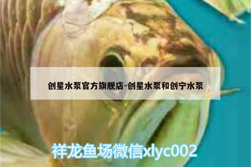 創星水泵官方旗艦店:創星水泵和創寧水泵