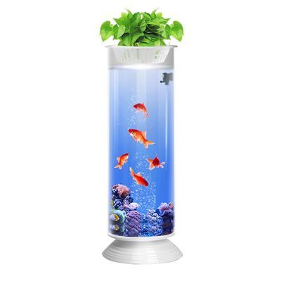 九江魚缸批發市場在哪里有買（九江魚缸批發市場在哪里有買的）