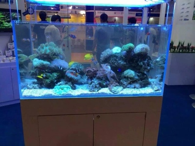 鞍山經濟開發區富門經典魚行（鞍山富田酒店）