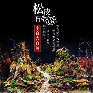 虎皮魚缸造景的藝術與技巧虎皮魚缸造景的藝術與技巧：虎皮魚缸造景技巧