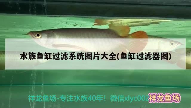 水族魚(yú)缸過(guò)濾系統(tǒng)圖片大全(魚(yú)缸過(guò)濾器圖) 水族魚(yú)缸過(guò)濾系統(tǒng)圖片大全(魚(yú)缸過(guò)濾器圖) 金龍魚(yú)百科