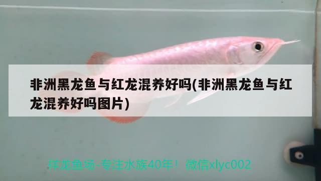 創(chuàng)寧變頻水泵怎么樣清洗視頻教程全集：創(chuàng)寧cn8100使用說明