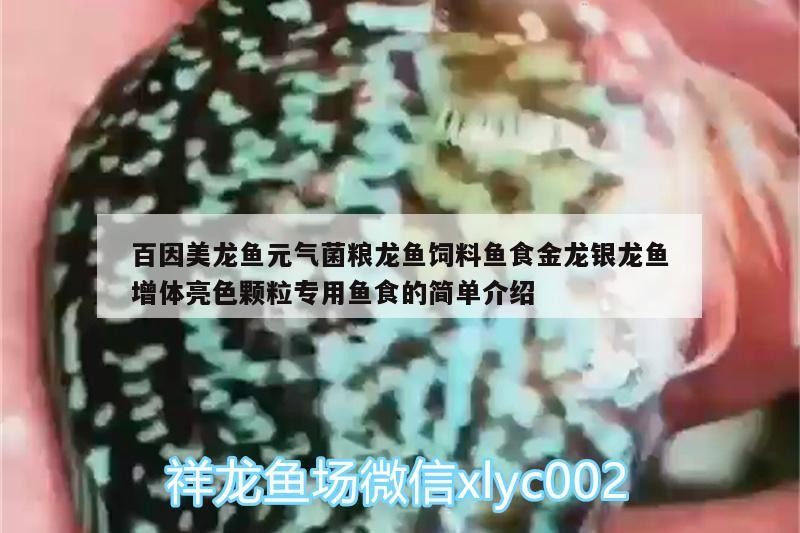 百因美龍魚元氣菌糧龍魚飼料魚食金龍銀龍魚增體亮色顆粒專用魚食的簡單介紹