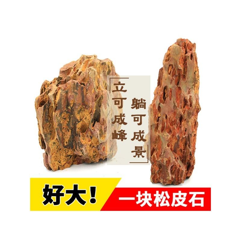 大型魚缸裝飾：大型魚缸的造景裝飾