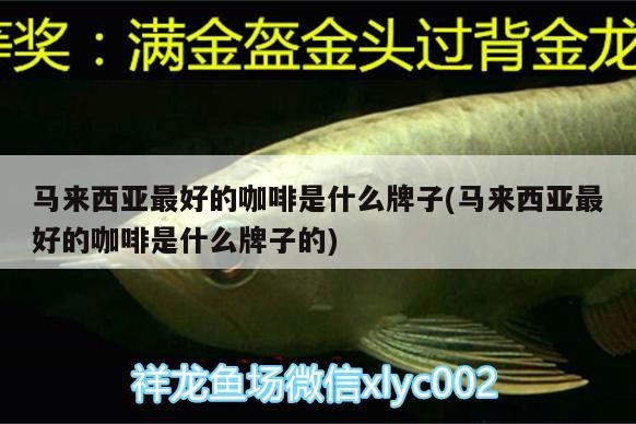 馬來西亞最好的咖啡是什么牌子(馬來西亞最好的咖啡是什么牌子的)