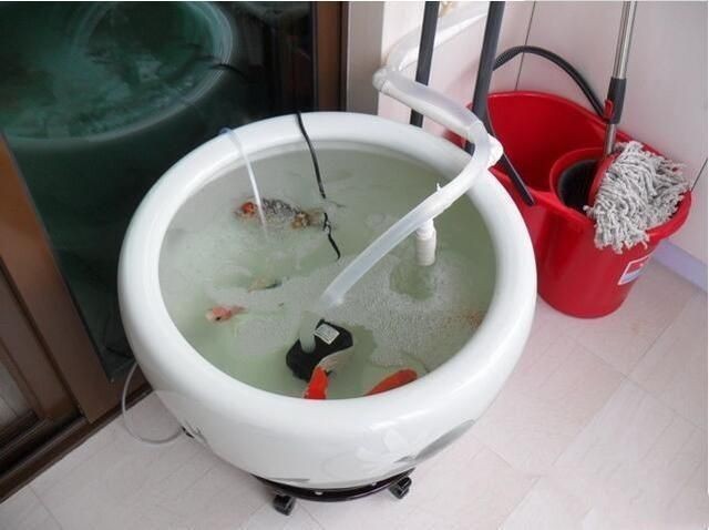 玻璃魚缸滲水用什么膠：熱門魚缸膠品牌排行榜：水族專用膠，水族專用膠