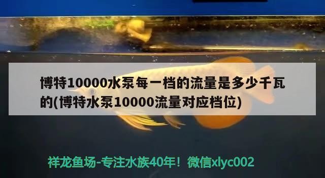 博特10000水泵每一檔的流量是多少千瓦的(博特水泵10000流量對應(yīng)檔位)