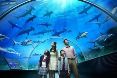寧波水族館vs祥龍魚場（寧波水族館和祥龍魚場各有特點）