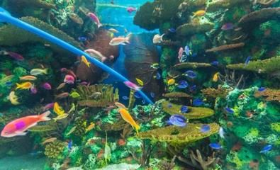寧波水族館vs祥龍魚場（寧波水族館和祥龍魚場各有特點）