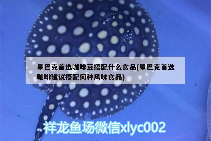 星巴克首選咖啡豆搭配什么食品(星巴克首選咖啡建議搭配何種風味食品)