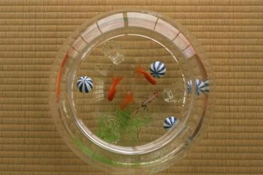 新巴爾虎右旗阿拉坦額莫勒鎮娜娜鮮花水族館