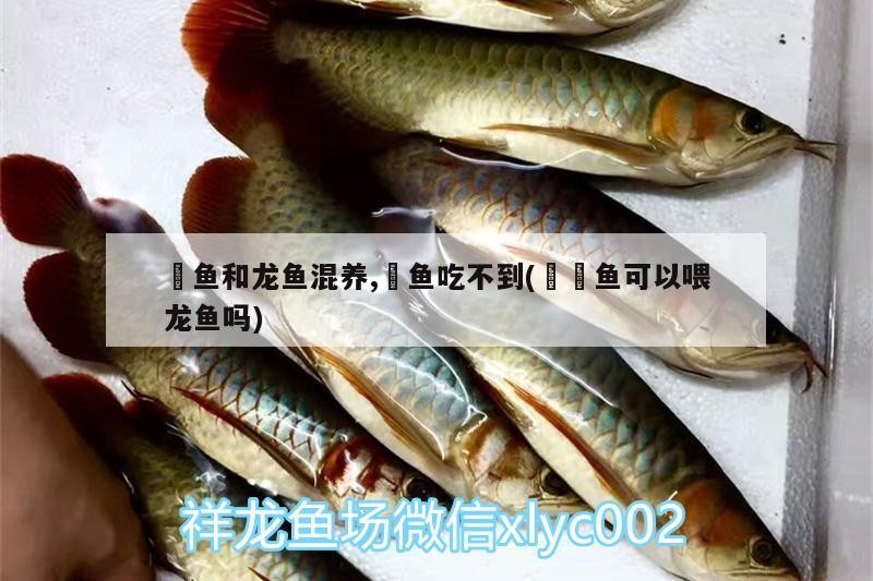 世界3大咖啡豆榜首，cotti品牌介紹