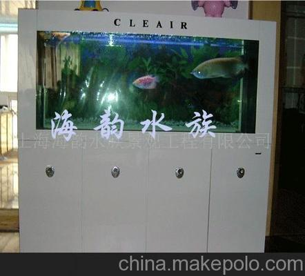 骨龍魚圖片大全欣賞