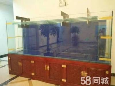 大型魚缸制作過程視頻：關于大型魚缸制作的視頻資源