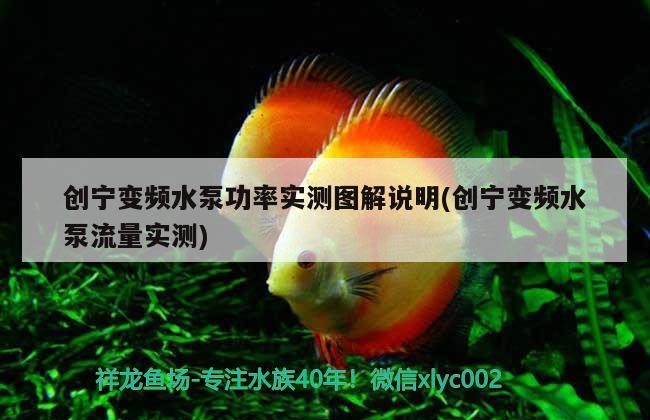 創寧變頻水泵功率實測圖解說明(創寧變頻水泵流量實測)