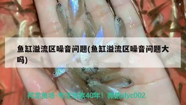 創寧加熱棒異常報警e2怎么處理（創寧加熱棒cn111顯示異常報警）