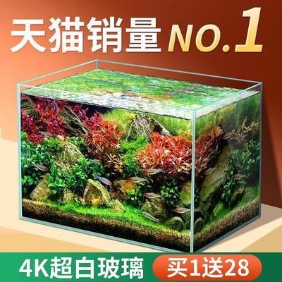 白魚缸適合養什么魚最好呢：白色魚缸適合在白色魚缸中飼養的魚類有哪些