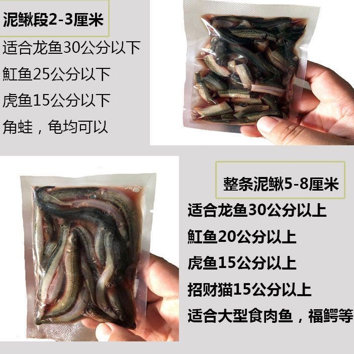 魟魚飼料感官判斷技巧：水產飼料原料的快速鑒別方法