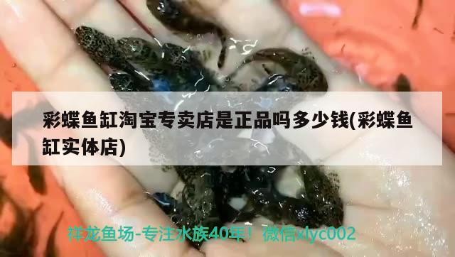 彩蝶魚缸淘寶專賣店是正品嗎多少錢(彩蝶魚缸實(shí)體店)