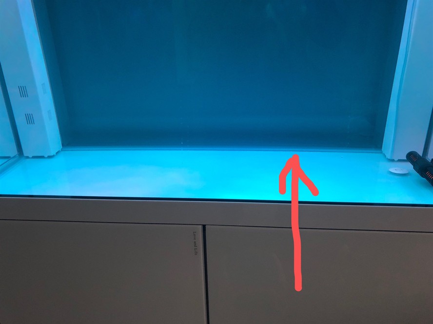 怎么用水管吸魚缸水
