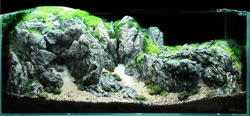 大魚缸石頭造景圖：魚缸造景石頭的種類與價格
