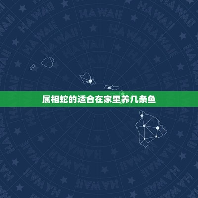 過背金龍魚為什么叫過背金龍魚呢(過背金龍魚為什么叫過背金龍魚呢視頻)