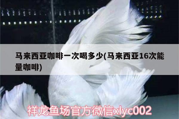 龍魚怕什么 馬來西亞咖啡一次喝多少(馬來西亞16次能量咖啡) 馬來西亞咖啡 馬來西亞咖啡一次喝多少(馬來西亞16次能量咖啡) 馬來西亞咖啡一次喝多少(馬來西亞16次能量咖啡) 馬來西亞咖啡