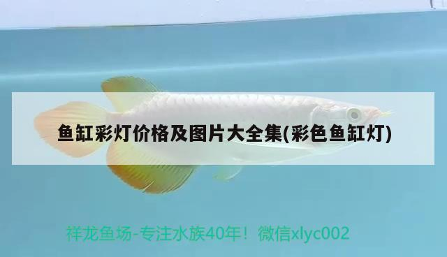魚缸彩燈價格及圖片大全集(彩色魚缸燈)
